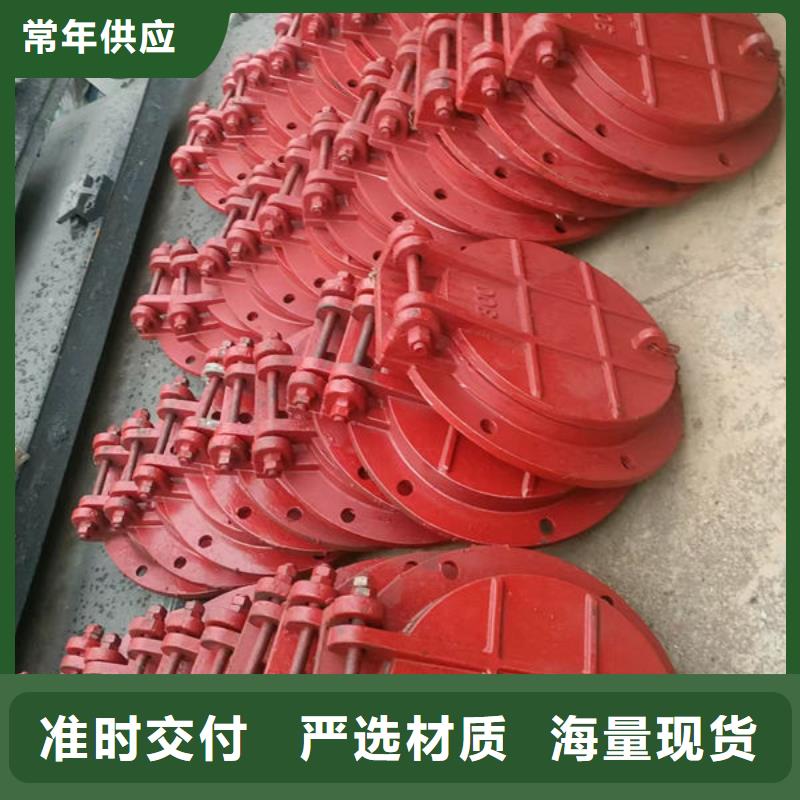 拍门钢制拍门一站式供应
