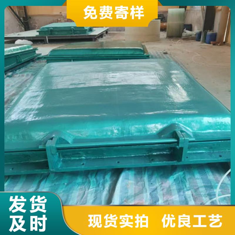 拍门_铸铁拍门生产型