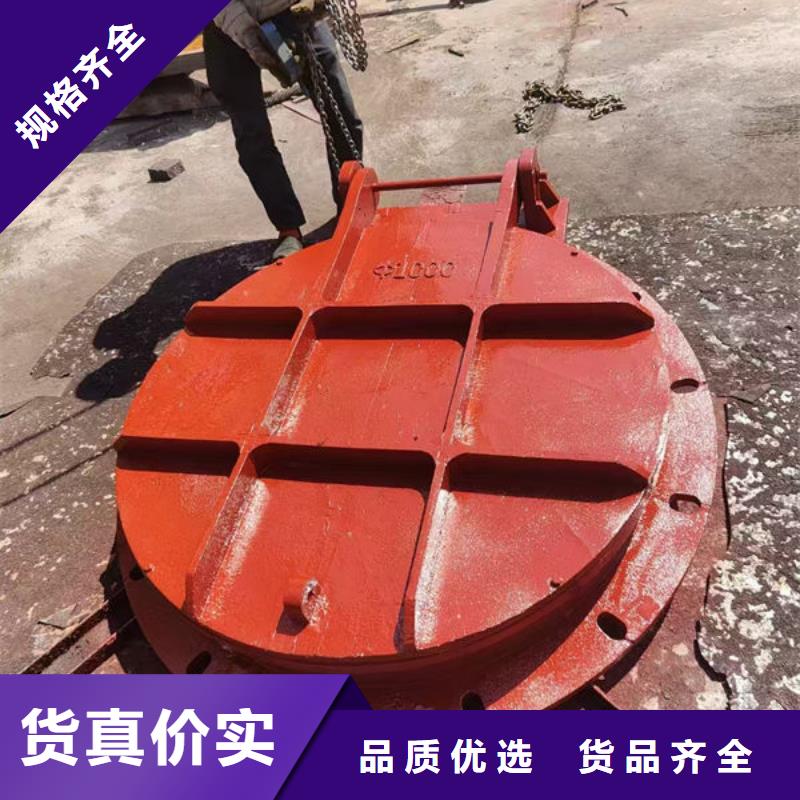 拍门_铸铁拍门质优价廉
