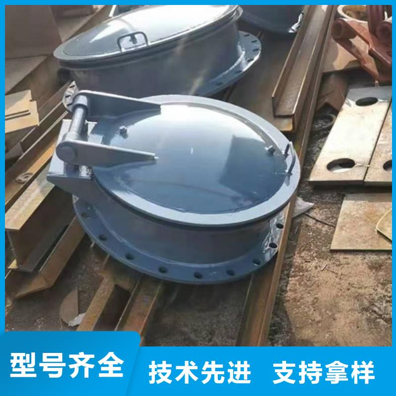 拍门钢制拍门货真价实