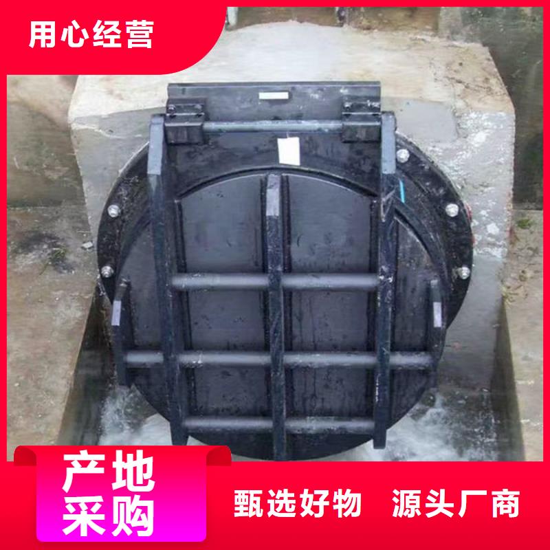 拍门_拍门大厂家实力看得见