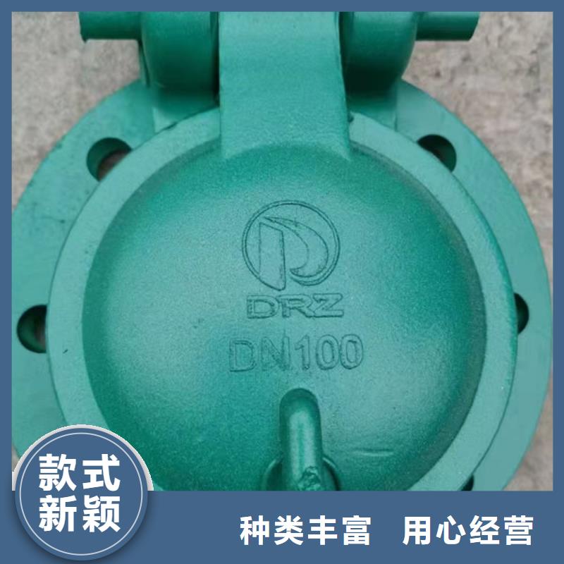 拍门钢制拍门一站式供应