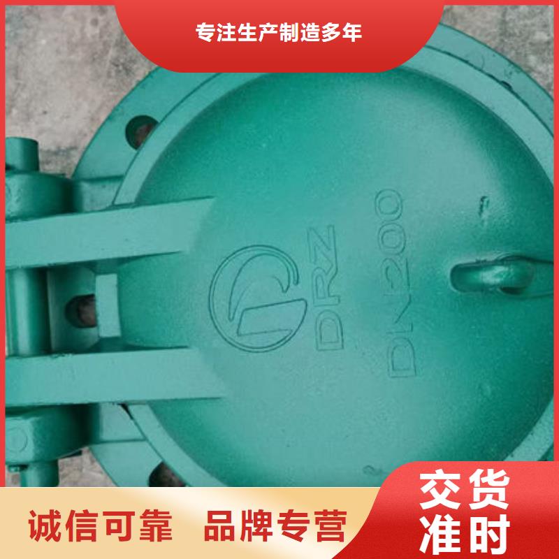 拍门_铸铁拍门质优价廉