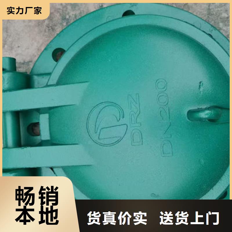 拍门,复合材料拍门质优价保