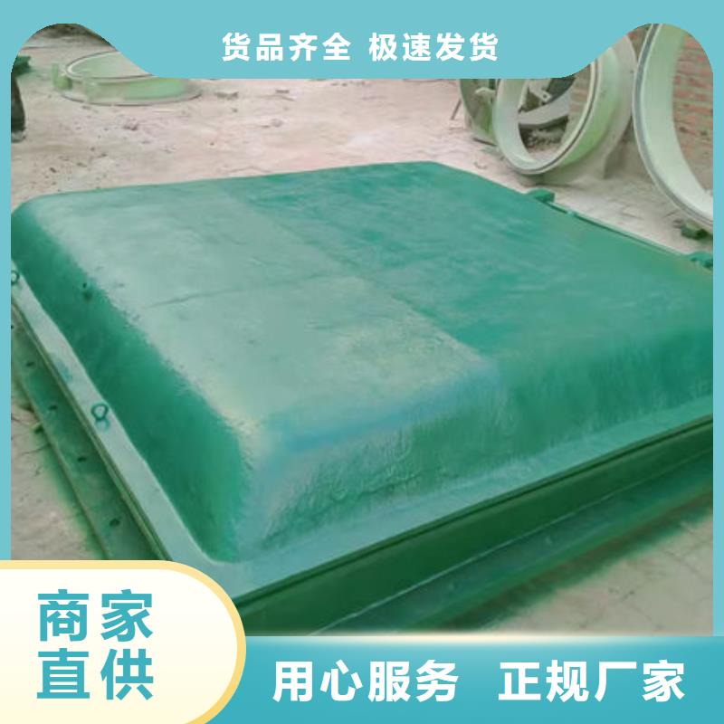 拍门球墨铸铁拍门实力派厂家