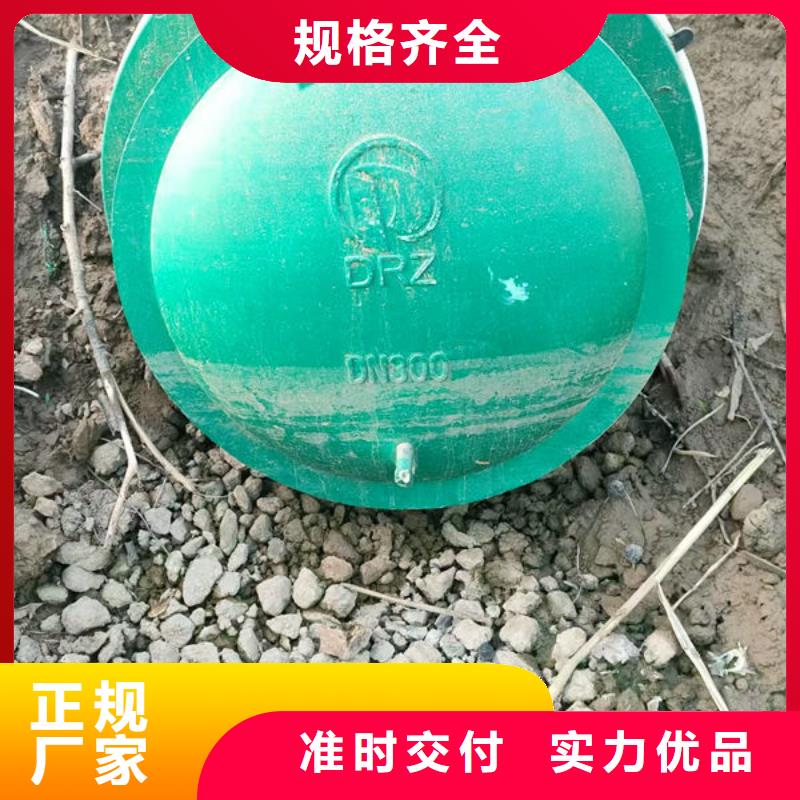 拍门防倒灌拍门品质过硬