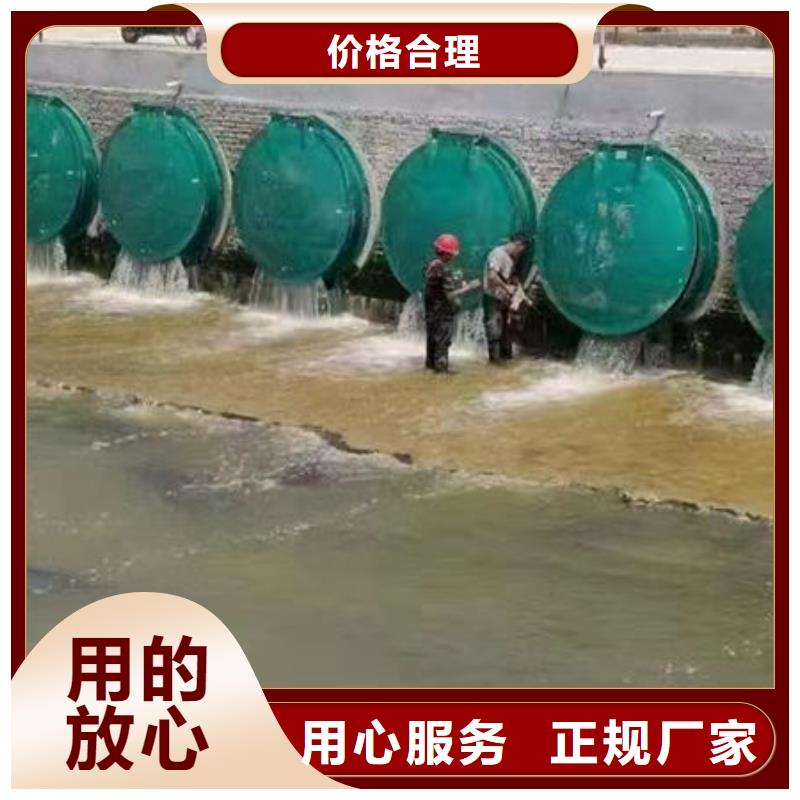 拍门复合材料拍门款式多样