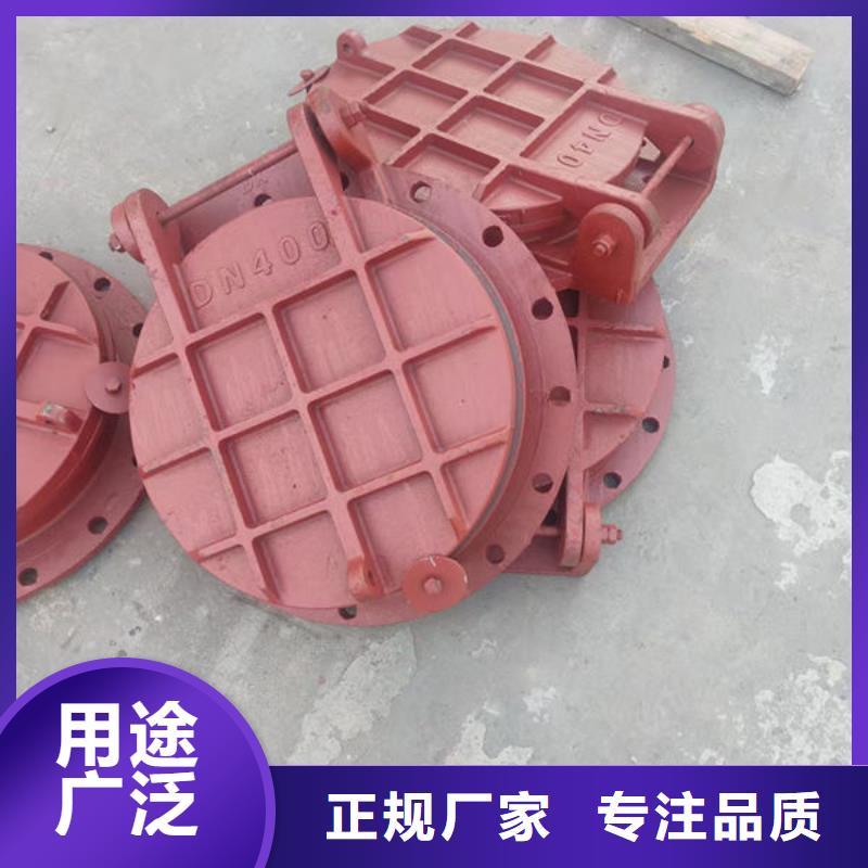 拍门复合材料拍门款式多样