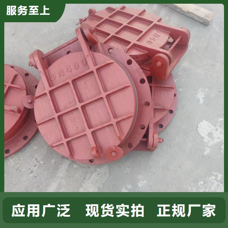 拍门_铸铁拍门生产型