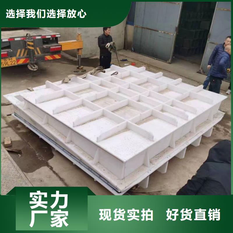 拍门_铸铁拍门生产型