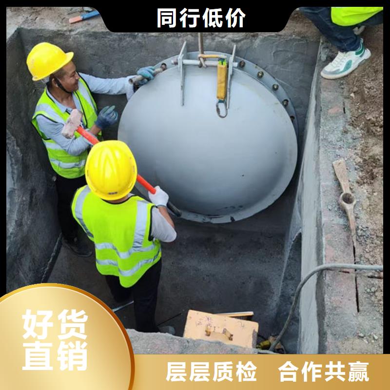 拍门_铸铁拍门生产型