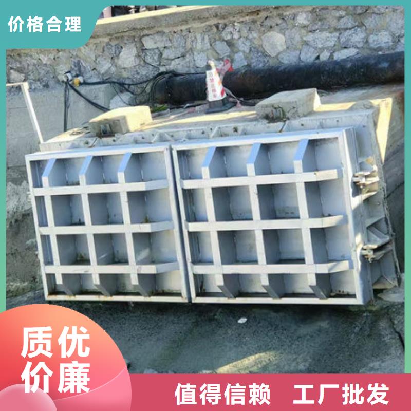 拍门铸铁拍门厂家采购