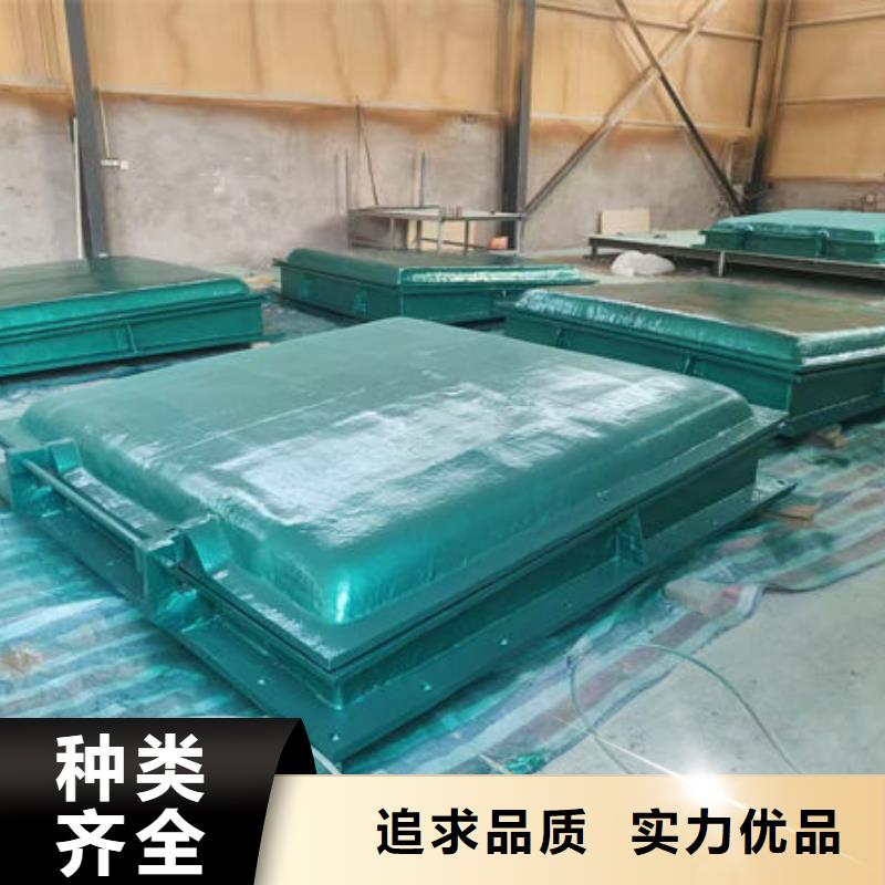 拍门_铸铁拍门生产型