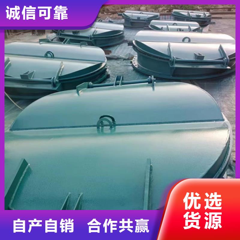 拍门_铸铁拍门生产型