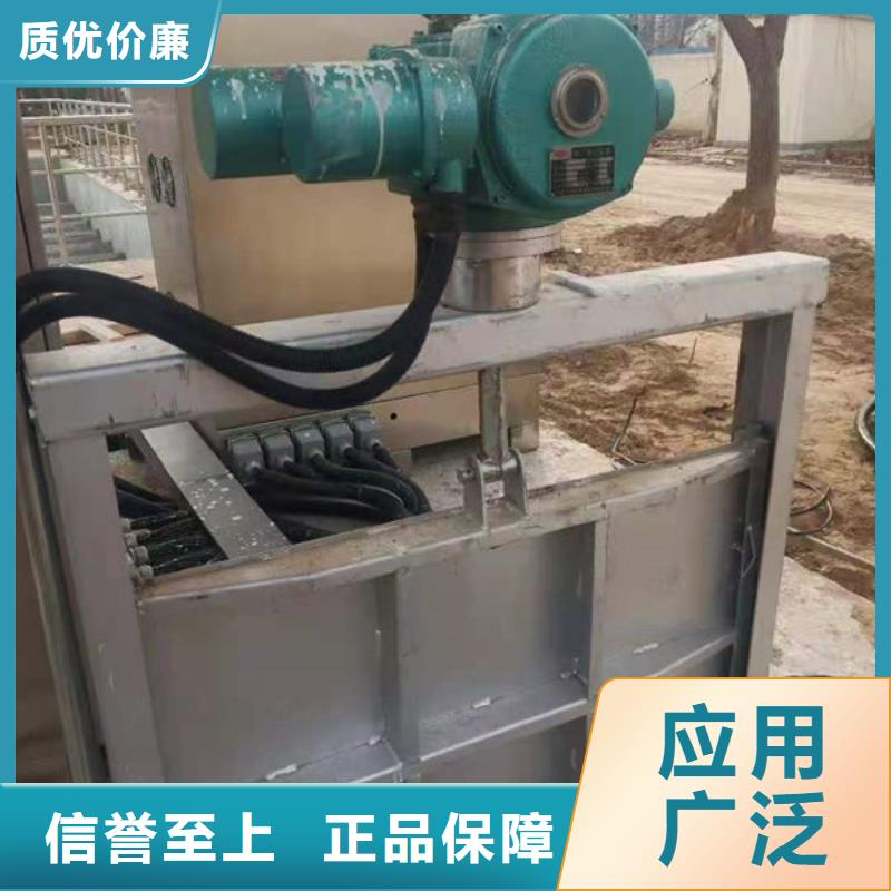 不锈钢闸门,双止水不锈钢闸门货真价实