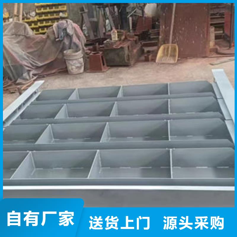 不锈钢闸门捞污珊全新升级品质保障