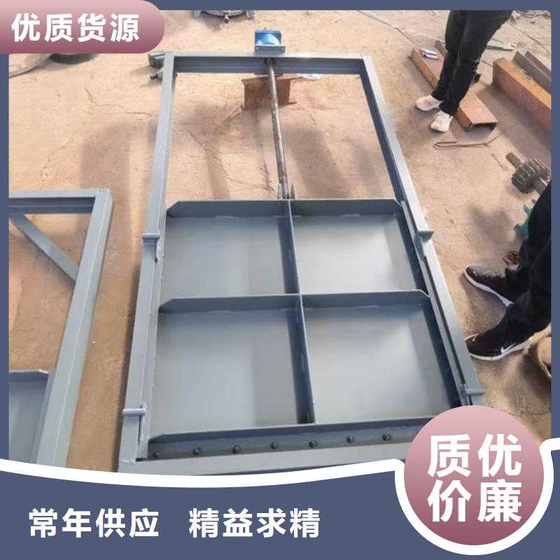 不锈钢闸门平面钢闸门重信誉厂家