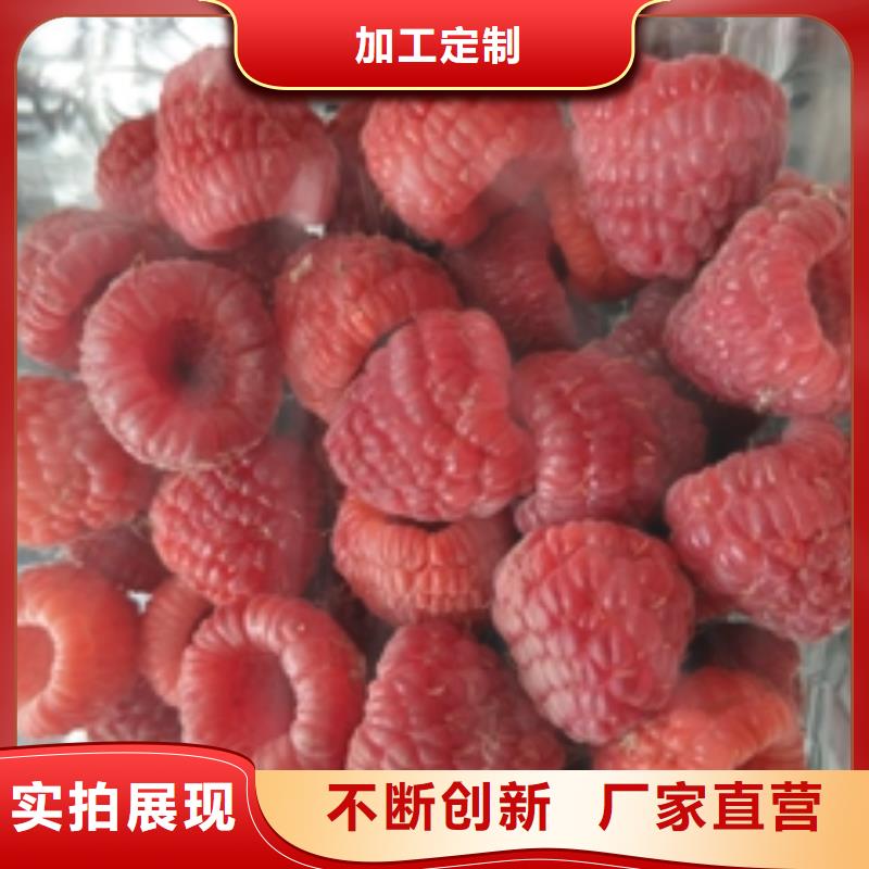 |细河|彰武|辽阳|盘锦|大连|抚顺树莓苗,【碧桃】价格透明-(正家)
