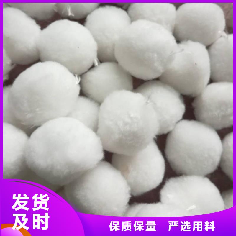 纤维球-沸石规格齐全实力厂家