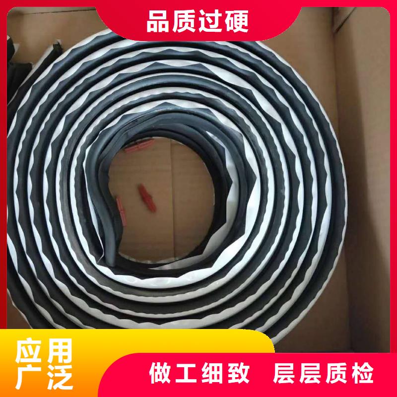 背贴式橡胶止水带视频-背贴式橡胶止水带-浙江省丽水市缙云|松阳|宁波|舟山|温州|绍兴|衢州|金华|杭州该地生产厂家