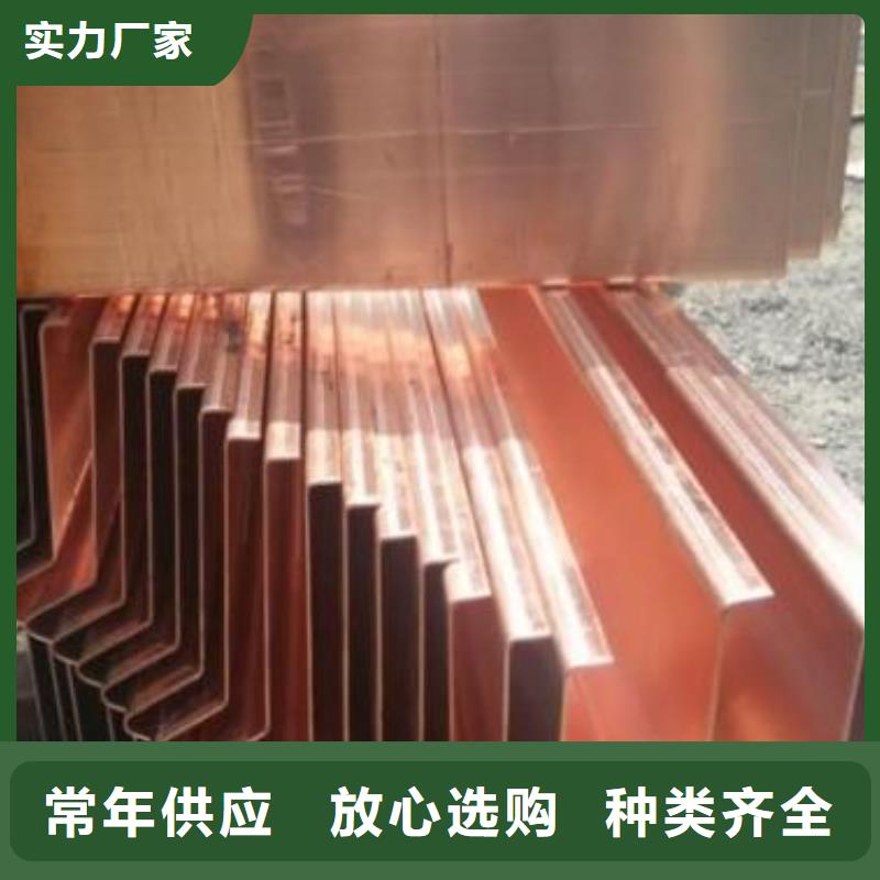 广硕紫铜止水成功案例