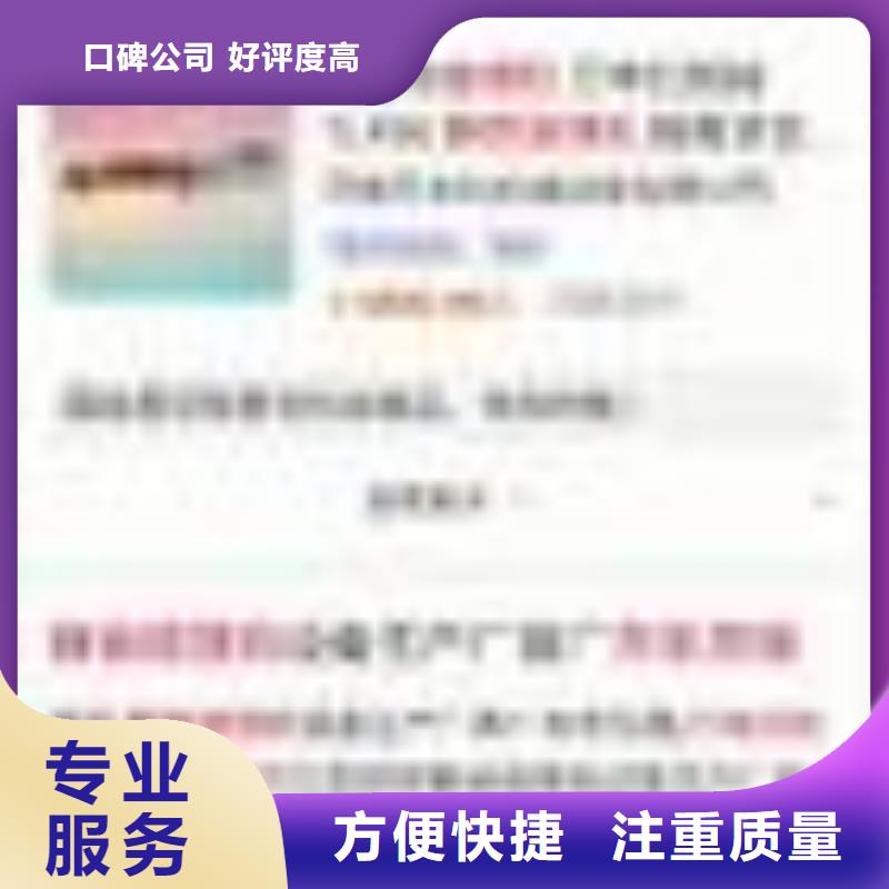 手机百度网络公司专业团队