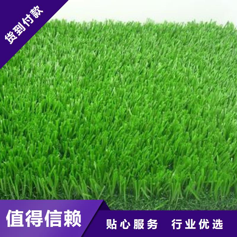PVC塑胶地板视频-PVC塑胶地板-内蒙古呼和浩特市【本土】制造商-鄂尔多斯|通辽|乌兰察布|包头