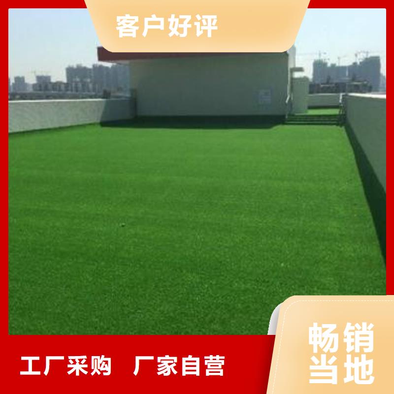 人造草坪-同质透心地材厂家现货供应