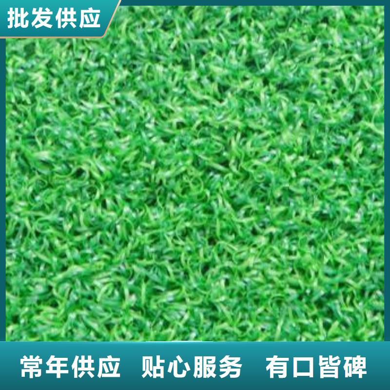 PVC塑胶地板视频-昌江|乐平|宜春|赣州|九江|萍乡|南昌|新余|抚州PVC塑胶地板品质信得过-中清思宇科技(景德镇市分公司)