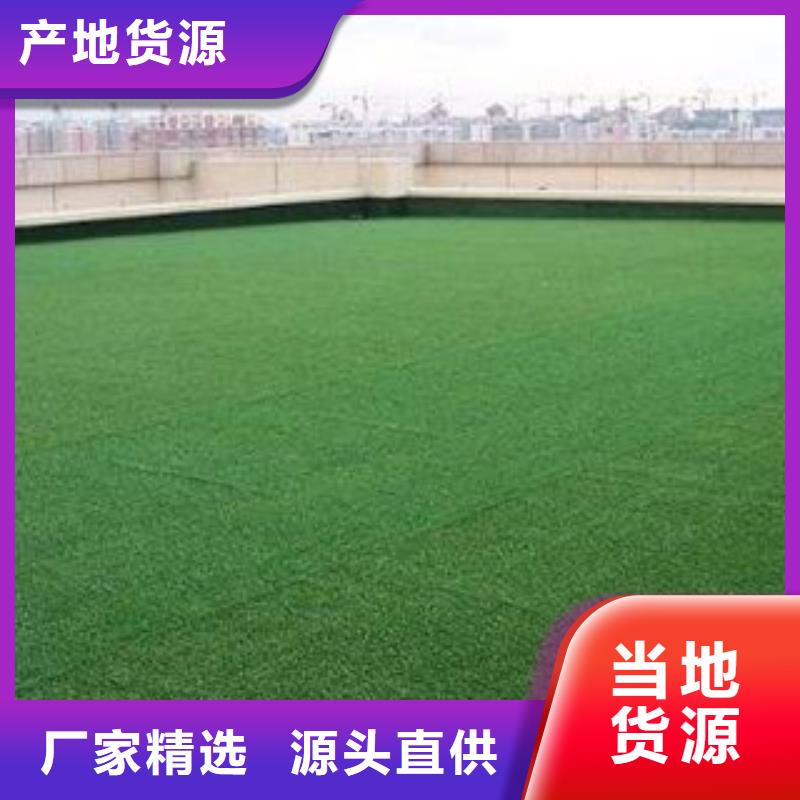 人造草坪室外塑胶跑道定制销售售后为一体