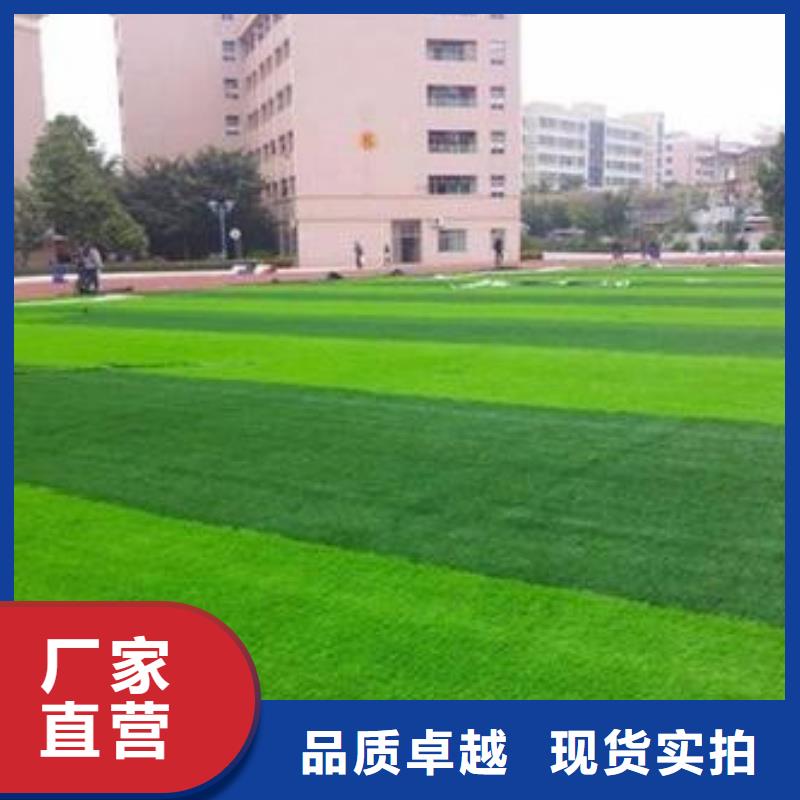 人造草坪-室内运动地板实力厂家直销