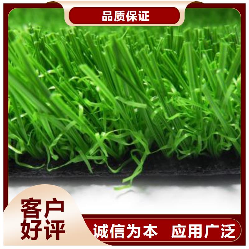PVC塑胶地板视频-PVC塑胶地板-内蒙古呼和浩特市【本土】制造商-鄂尔多斯|通辽|乌兰察布|包头
