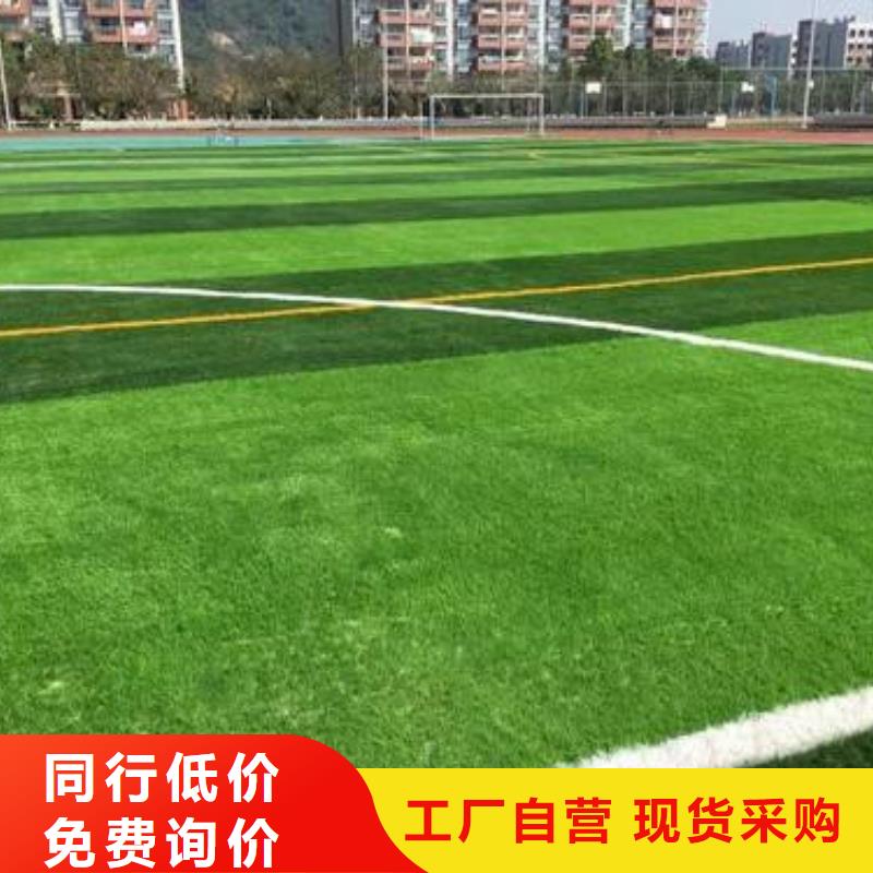 PVC塑胶地板视频-PVC塑胶地板-内蒙古呼和浩特市【本土】制造商-鄂尔多斯|通辽|乌兰察布|包头