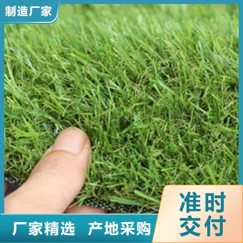 PVC塑胶地板视频-泰州市靖江市中清思宇PVC塑胶地板可服务区域泰兴|高港|兴化|海陵等