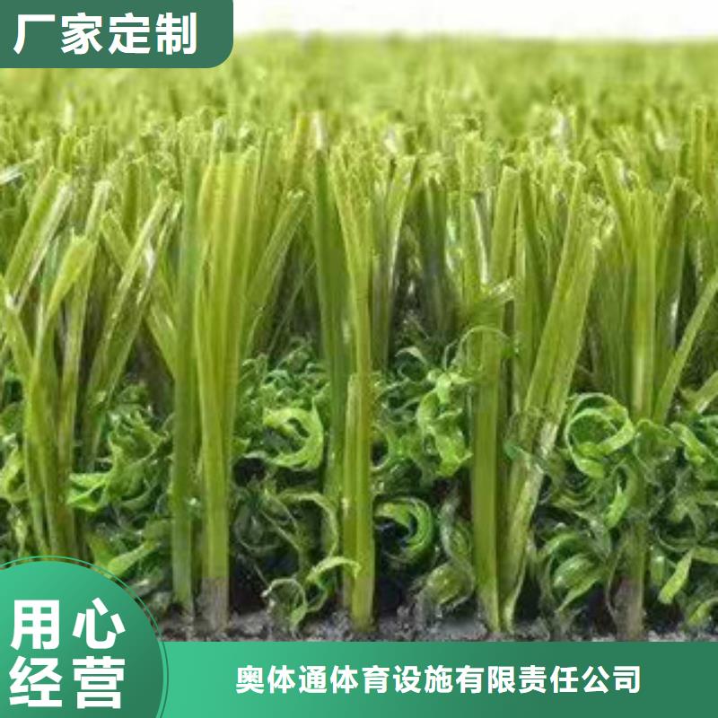 人造草坪,室外PU蓝球场品质之选