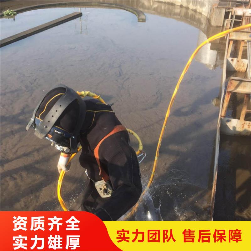 水下作业-口碑公司【盛龙】水下安装施工经验丰富