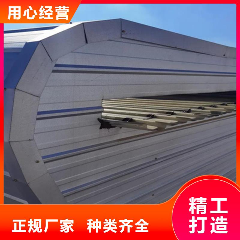 TC8-6088电动采光天窗供应厂家