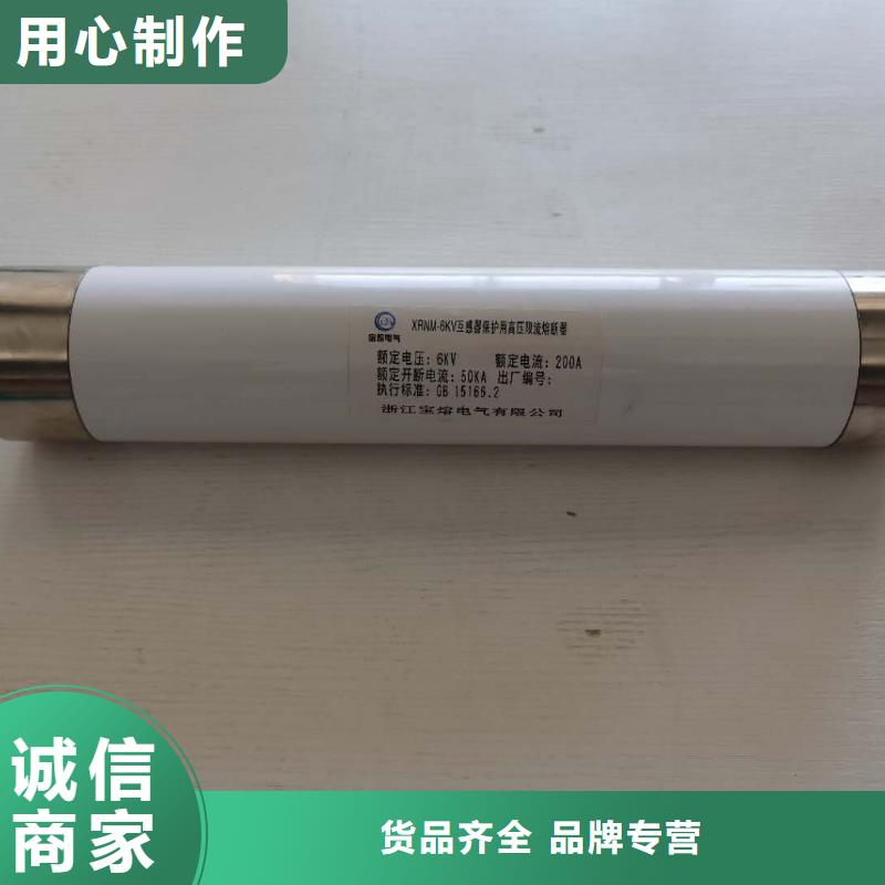 高压熔断器高压限流熔断器品质值得信赖