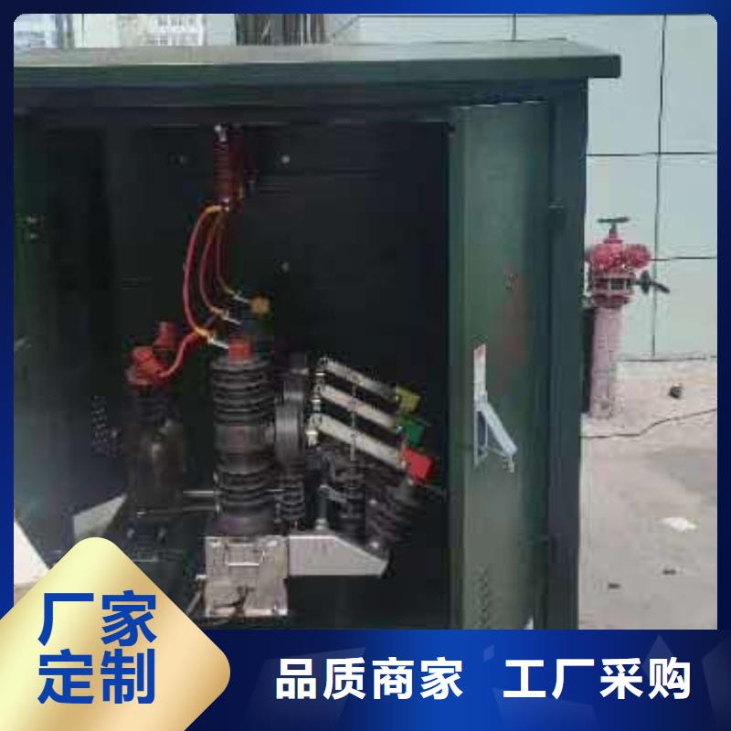 真空断路器XRNP-10KV高压限流熔断器好品质用的放心