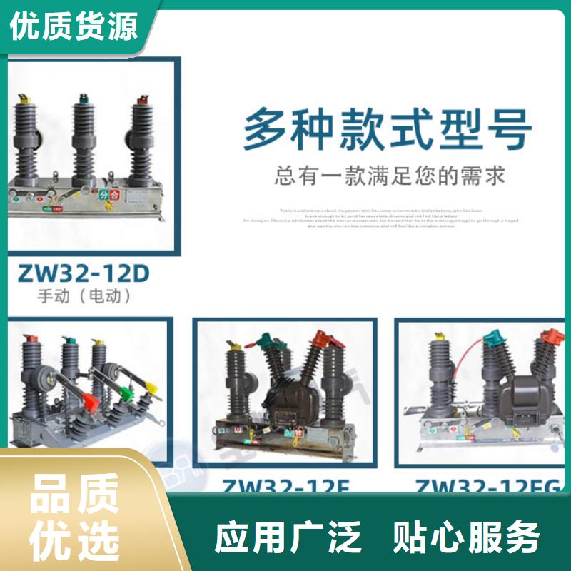 真空断路器-VS1户内高压真空断路器信誉至上