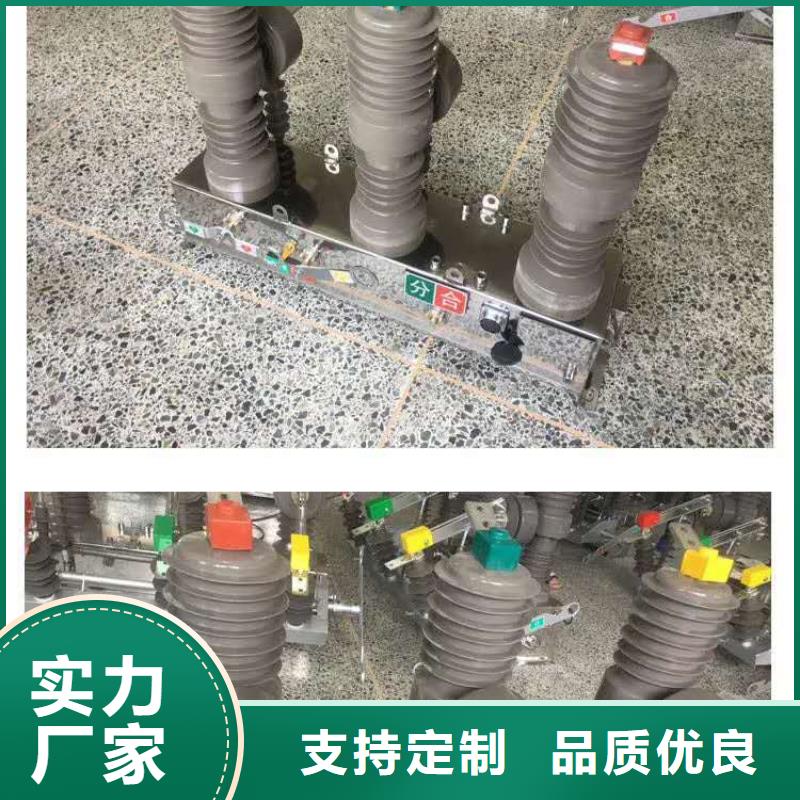 【真空断路器】避雷器用心经营