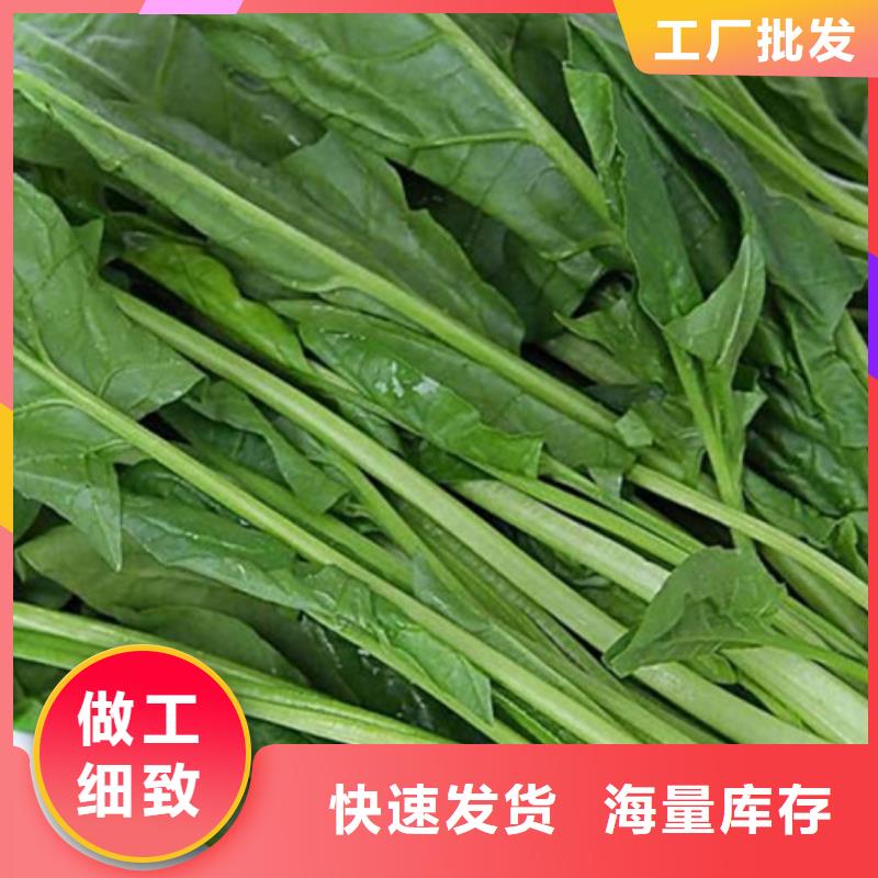 万宁市菠菜粉实力老厂