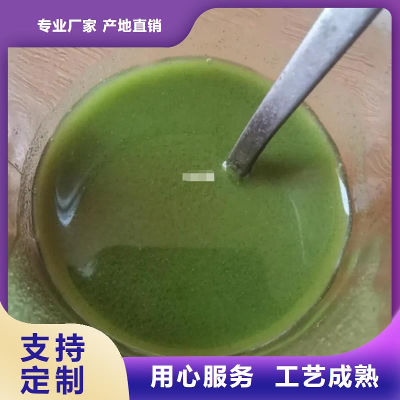 羽衣甘蓝粉末现货即发