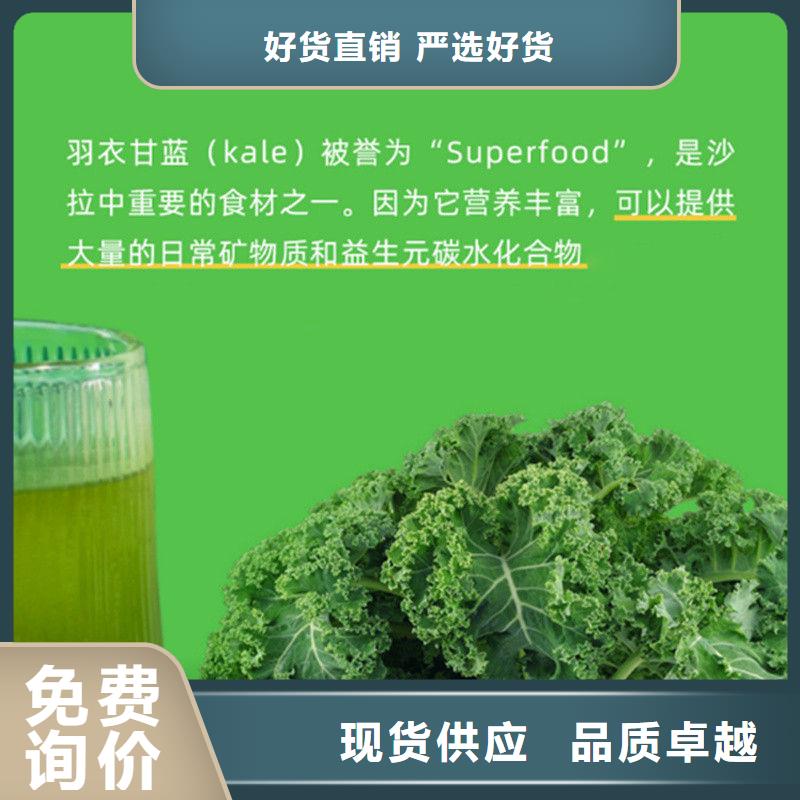 甘蓝粉现货批发价格