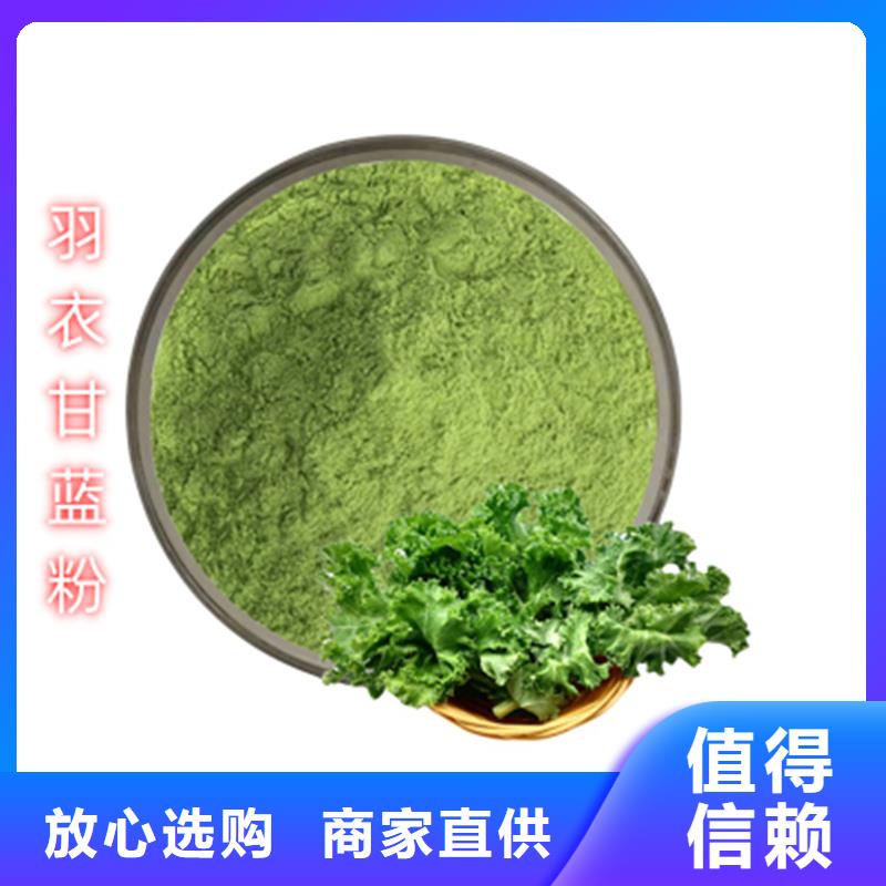 高品质羽衣甘蓝粉饮品厂商
