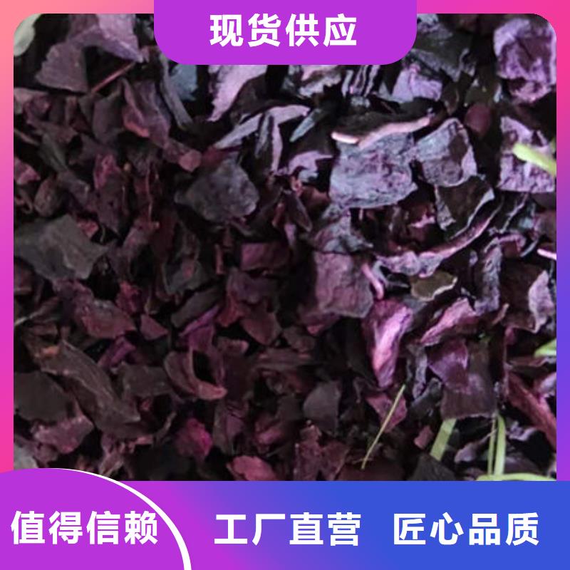 紫薯丁,灵芝盆景价格公道合理