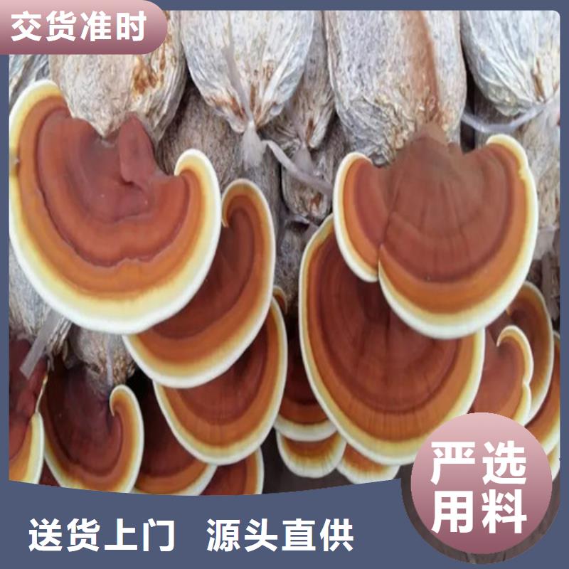 买灵芝孢子粉礼盒-现货充足有保障