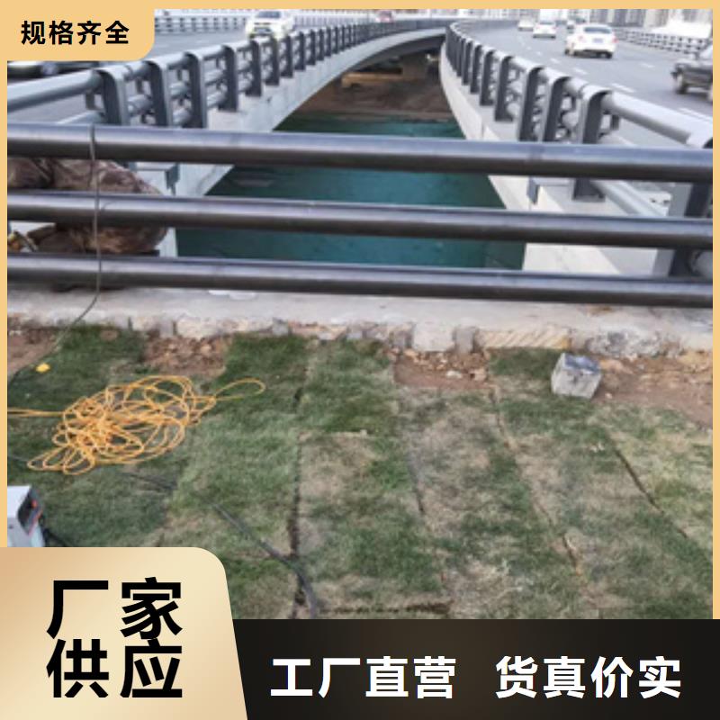 氟碳漆喷塑桥梁防撞护栏认准展鸿护栏厂家