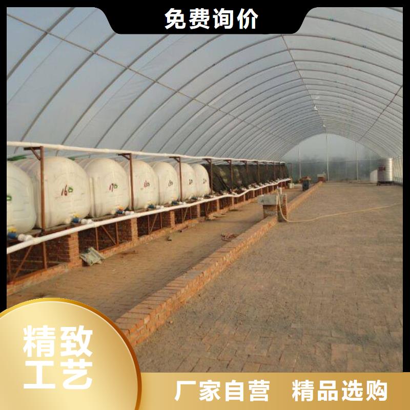 广东省汕头市海门镇大跨度大棚钢管10年经验2024