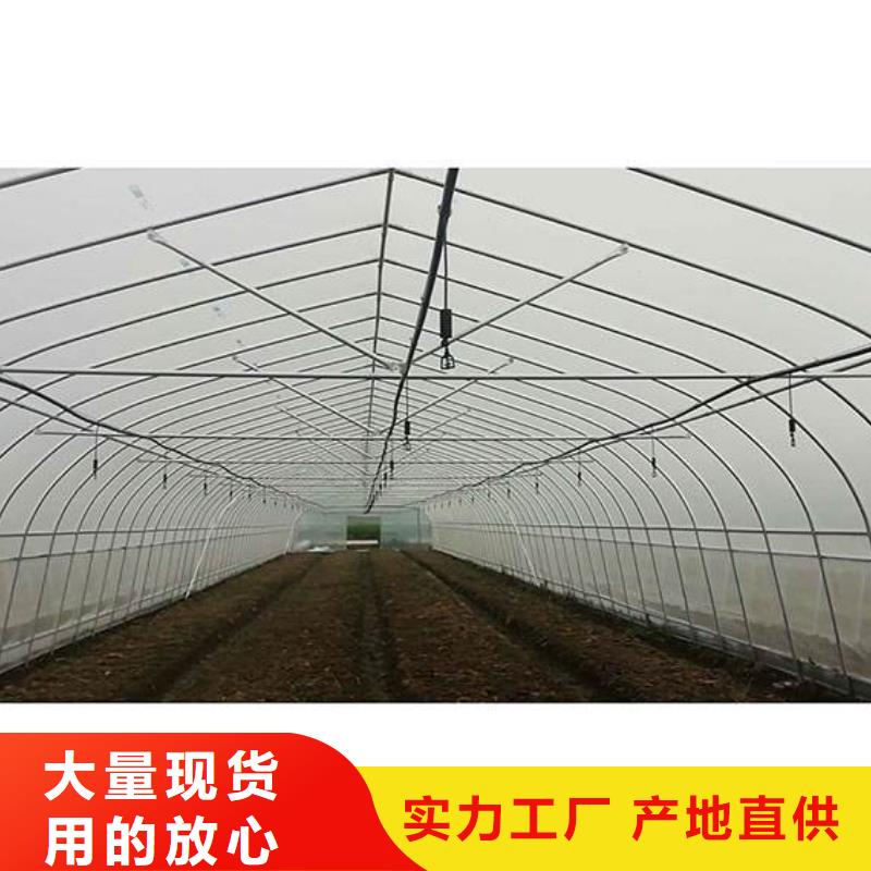四川省不断创新<泽沃>隧道温室直销价格2024